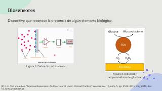 Glucosa Oxidasa en Biosensores [upl. by Frolick986]