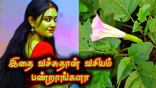 vasiyam seivathu eppadi in tamilkali manthirigam [upl. by Enawd]