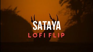 Tu Bhi Sataya Jayge Lofi Mix  Vishal Mishra  Afternight Vibes [upl. by Linette]