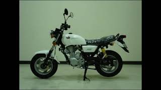 Hartford MINI 125 Motorcycle modified [upl. by Dennard]