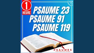 Psaume 23 Psaume 91 Psaume 119 Psaumes pour dormir avec Musique 1 Heure [upl. by Mullac]