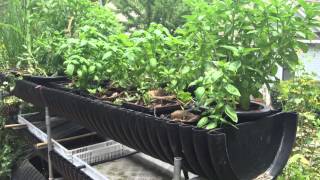 DIY Hydroponics with Homemade Plant Food in the Biogarden [upl. by Krischer]