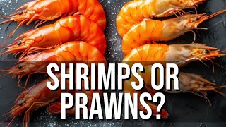 What Separates Shrimp From Prawns [upl. by Charlotte]