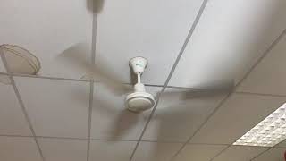 Newer Xpelair whispair ceiling fans in savers Runcorn [upl. by Rodolph]