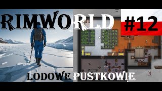 Lodowe Pustkowie  wyzwanie w Rimworld PL 12 Inwazja mechanoidów [upl. by Amjan]