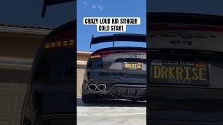 Sounds like a V8 shorts twinturbo kiastinger bmw cartok kiastinger coldstart exhaust [upl. by Rother]