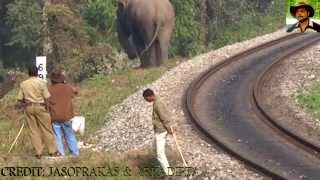 Elephant amp Railway Line Exclusive VDO Part II By Jasoprakas [upl. by Renwick471]