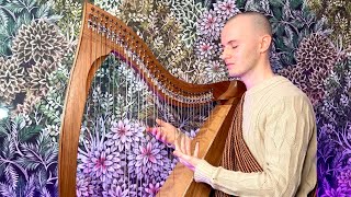 Celestial Dreams Harp Meditation  Relax Unwind amp Sleep Peacefully  Healing Frequency Celtic Harp [upl. by Sisco]