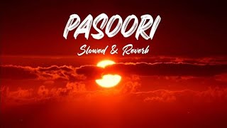 Pasoori Lofi Song Pasoori Song Bollywood Pasoori Song Pasoori  mslofi [upl. by Ahsertal]