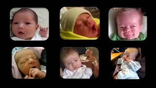 Name that Cue – Understanding What Your Newborn is “Saying” [upl. by Morgan]