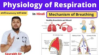 Mechanism of RespirationPhysiology of respiration in Hindi inspiration expirationNursing NEET [upl. by Hahn]