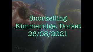 Snorkelling Kimmeridge Bay August 2021  best snorkel spot in Dorset [upl. by Ettenowtna482]