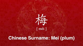 How to Correctly Pronounce Surname Mei in Chinese  Family Name 姓氏 梅 [upl. by Arhaz983]