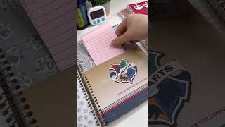 Planner Harry Potter Vídeo [upl. by Joacimah248]