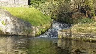 bingley 5 rise locks [upl. by Stephannie566]