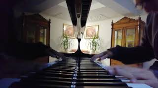 Amazing fast rock n roll piano [upl. by Henke457]