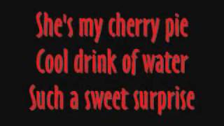 Warrant  Cherry Pie with lyrics [upl. by Anyel]