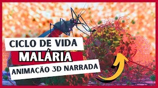 Ciclo de vida da MALÁRIA  Animação NARRADA  Luix Nascimento Biologia [upl. by Alig]