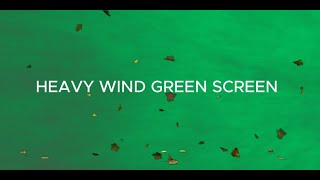 Heavy Wind Storm Green Screen Effects [upl. by Yelserp5]