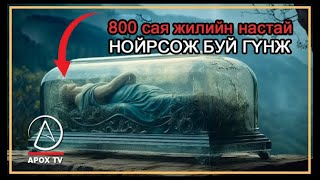 Тисулын гүнж буюу 50 сая жилийн настай булш [upl. by Analli]