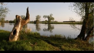 Mit dem Bungalowboot auf der Havel unterwegs [upl. by Narcis833]