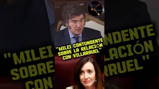 MILEI CONTUNDENTE SOBRE LA RELACIÓN CON VILLARRUEL argentina milei villarruel [upl. by Uball]