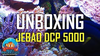 Jebao DCP5000 Unboxing [upl. by Alcus329]