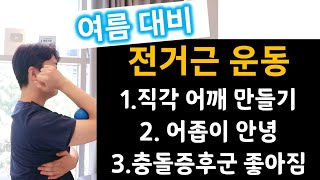 날개뼈위치 교정 전거근운동 어깨충돌증후군 직각어깨 견갑프레임 [upl. by Riaj]