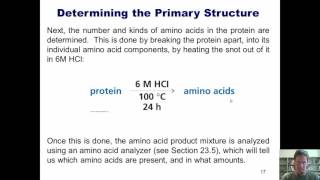 Chapter 23 – Protein Chemistry Part 9 of 10 [upl. by Bysshe]