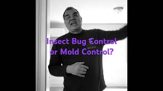 Insect Control or Bug Control moldremediation Bugcontrol [upl. by Candis]