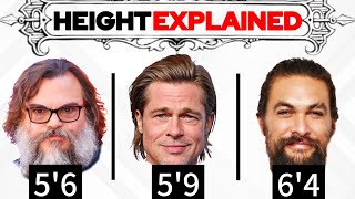 ALL Mens Height Categories Explained Complete Breakdown [upl. by Royden]