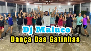 Dj Maluco  Dança Das Gatinhas  Coreografia Jansen Bandeira [upl. by Hamehseer]