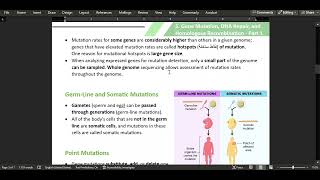 5 Gene Mutation DNA Repair and Homologous Recombination  Part 1 [upl. by Simonette]