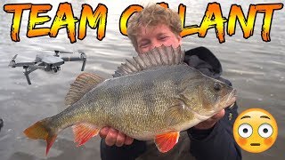 BIGGEST PERCH FILMED FROM DRONE  Team Galant [upl. by Okihcas993]