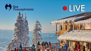 Julius Römer Hütte  Cabana Postavarul  🔴 Poiana Brasov Live Webcam Partia Lupului [upl. by Cousins736]