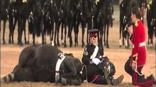 Beating Retreat 2013 The Household Cavalry Mounted Band [upl. by Llevart]