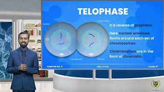 Prophase Metaphase Anaphase Telophase and Cytokinesis  CHP 5  9TH BIOLOGY EM  LECTURE 4 [upl. by Otreblif]