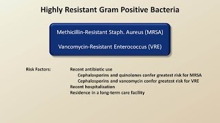 Antibiotics for Gram Positive Infections Antibiotics  Lecture 4 [upl. by Farrell]