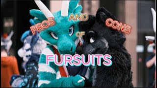 Fursuit Unboxing the PROS and CONS [upl. by Ross]