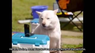 White Family SoftBank Dog CM 091 quotPhotovision for Mothers Dayquot Japanese Commercial ENG SUB [upl. by Nitin]