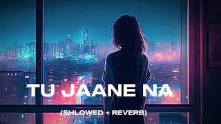 trending TU JAANE NA SHLOWED  REVERB ARIJIT SINGH NEW TRENDING SONG LOFISONGS9509 [upl. by Llertnov]