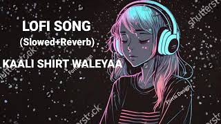 KAALI SHIRT WALEYA SlowedReverb Lofi Song Punjabi [upl. by Erdrich485]