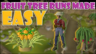 Quick Guide to Fruit Tree Runs in OSRS [upl. by Tsiuqram]