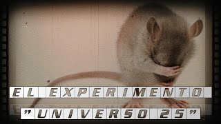 EL EXPERIMENTO quotUNIVERSO 25quot 🐭 [upl. by Nosreve]