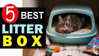 Best Cat Litter Box 2024 🏆 Top 5 Best Cat Litter Box Reviews [upl. by Hnil139]