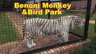 Surprisingly We found Benoni Monkey and Bird Park in Benoni with TIGERS [upl. by Connelly383]