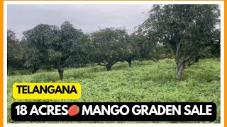 18 Acres🥭 mango🏠 graden sale  Telangana state  nagar kurnool district [upl. by Auos]