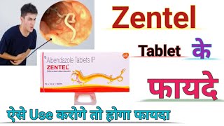 Zentel Tablet Ke Benefits ll जेंटल टेबलेट पेट के कीड़े की दवा ll Use Karne Ka Sahi Tarika ll [upl. by Schmidt]