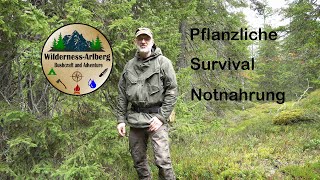 Pflanzliche Survival Nahrung 18 10 2024 [upl. by Duyne306]