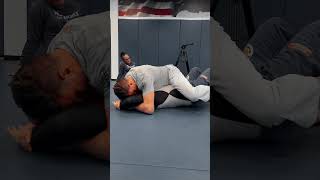 Brazilian JiuJitsu  Living Mechanics mount Flo drill [upl. by Adnim863]